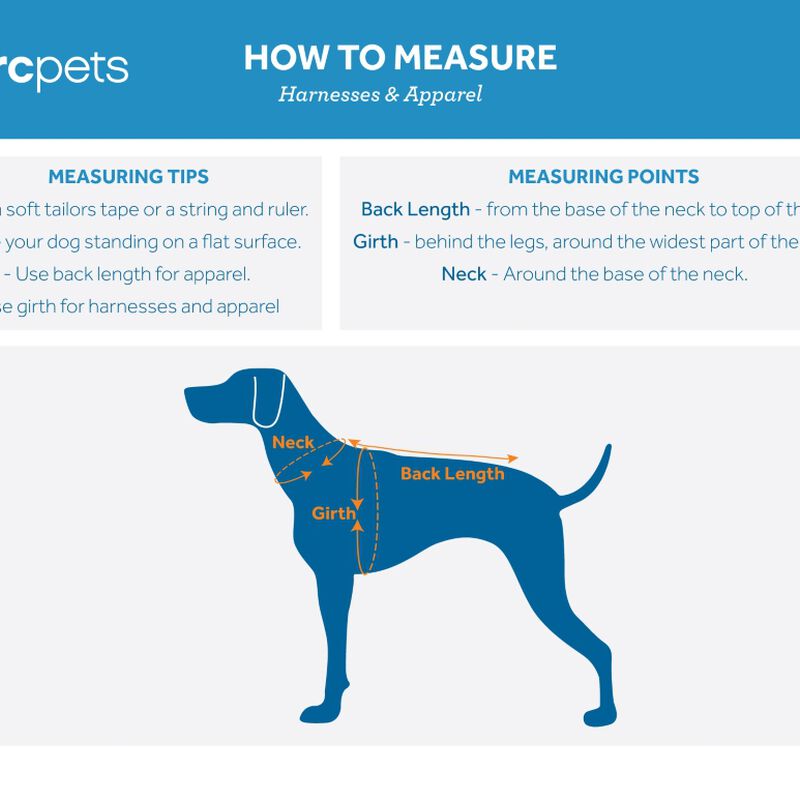 RC Pets, Harness - Tempo No Pull - Heather Teal - Dog Harness image number null