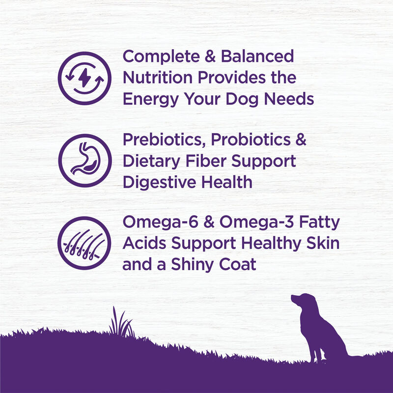 Wellness, Adult Complete Health - Whitefish & Sweet Potato - 11.8 kg - Dry Dog Food image number null