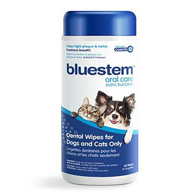 Bluestem, Dental Wipes - Vanilla - 60ct