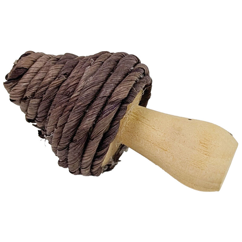Ren&rsquo;s 50th Anniversary Long Mushroom Cat Toy image number null