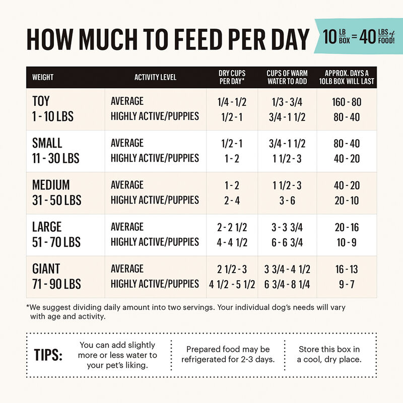The Honest Kitchen, Grain Free Beef Recipe - Freeze Dried Dog Food image number null