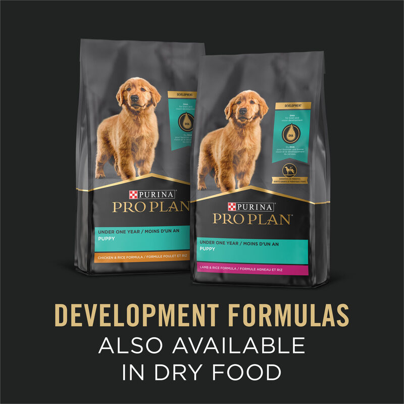 Pro Plan, Can, Puppy - Development-Chicken & Rice Pate-368 g - Wet Dog Food image number null