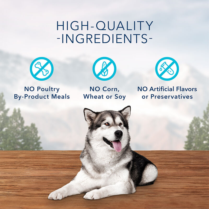 Blue Buffalo, Wilderness Wild Bits - Salmon - 113 g - Dog Treat image number null