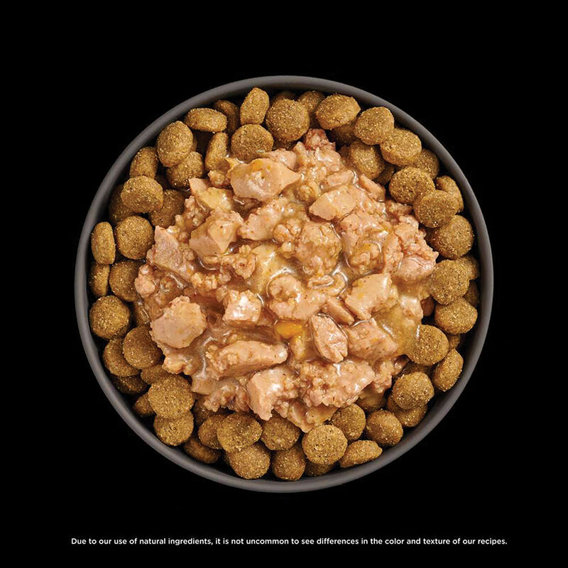 GO! SOLUTIONS,  BOOSTER Joint Care Minced Chicken with gravy - 78 g - Wet Dog Food image number null