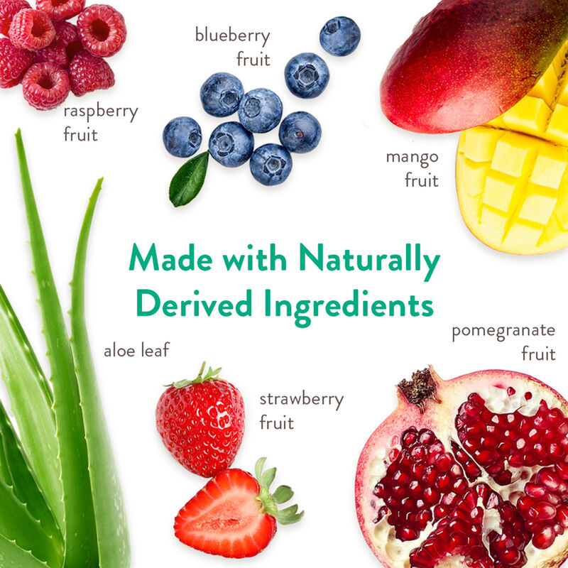 Tropiclean, Berry & Coconut Shampoo image number null