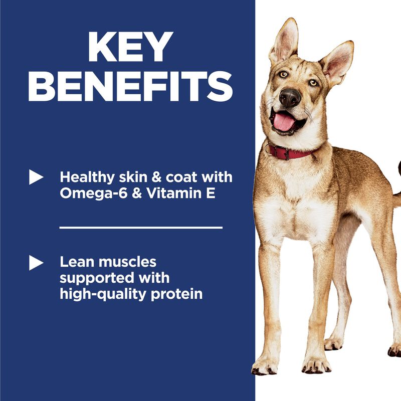 Science Diet, Adult Dog Chicken & Barley image number null