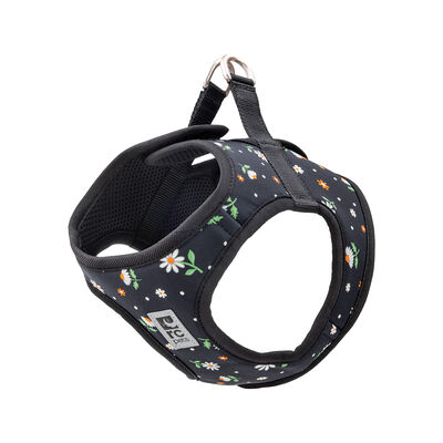 RC Pets, Step In Cirque Harness  - Daisies - Dog Harness