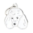MyFamily, White Poodle image number null