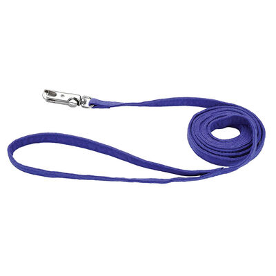 Microfiber Leash, Blue, X-Small - 3/8" x 6'