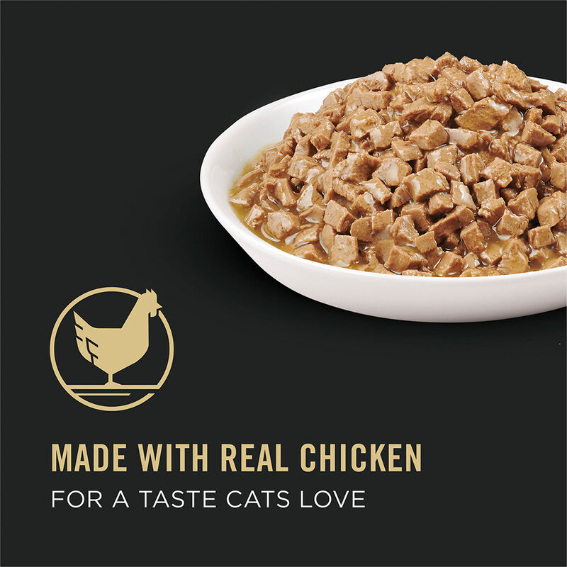 Pro Plan Wet Cat Specialized Urinary Tract Health Chicken entr&eacute;e 85g image number null