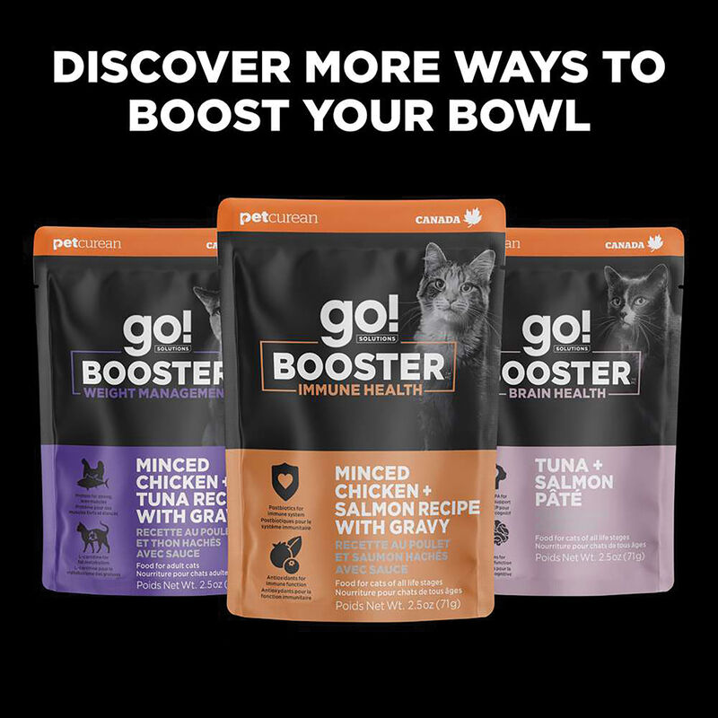 GO! SOLUTIONS,  BOOSTER Digestive Health Tuna + Salmon Pate - 71 g - Wet Cat Food image number null