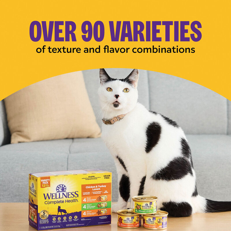 Wellness, Canned Cat Food, Complete Health, Turkey & Salmon - Wet Cat Food image number null