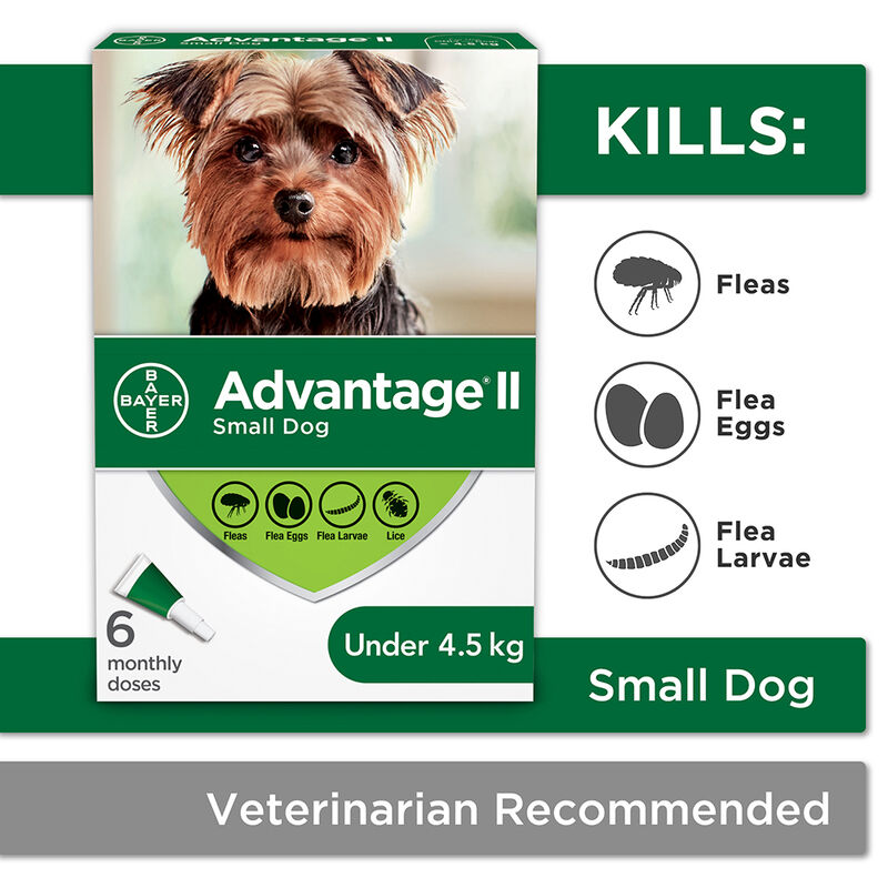 Advantage II, Small Dog Flea Treatment & Protection, <4.5kg image number null
