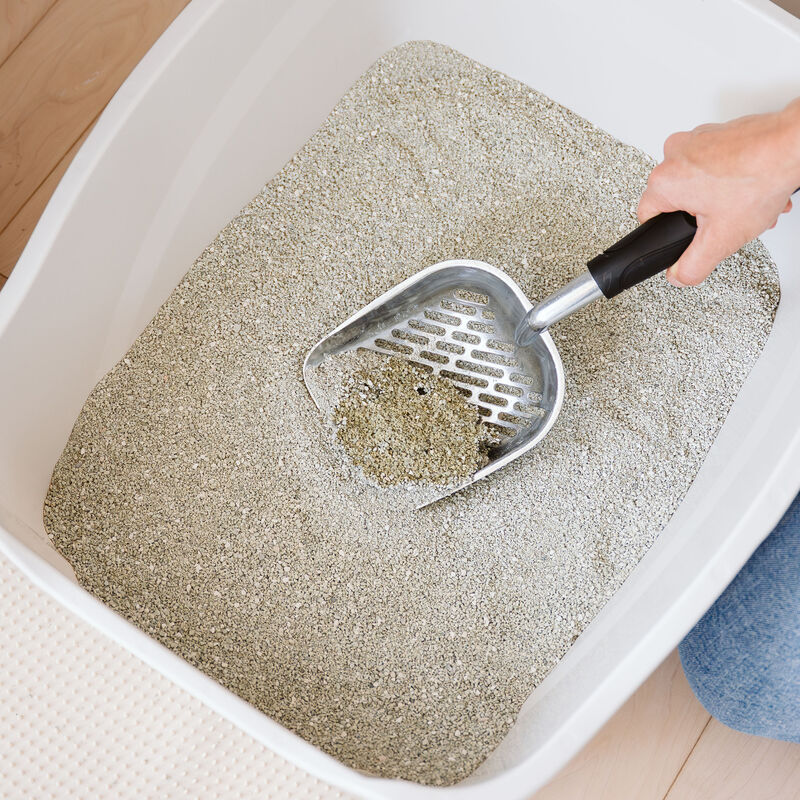 Lightweight Clumping Clay Litter - 4.5 kg image number null