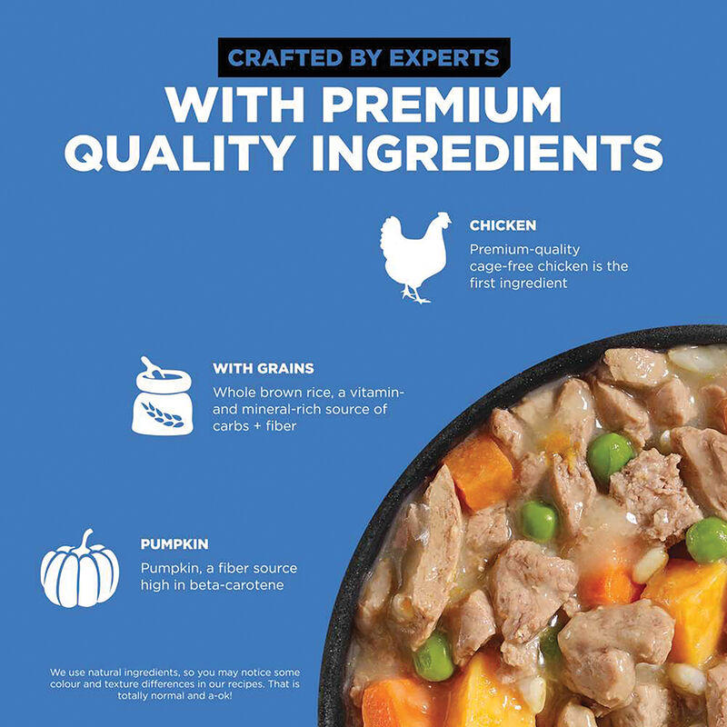 GO! SOLUTIONS, SKIN + COAT CARE Shredded Chicken Recipe for dogs - Wet Dog Food image number null