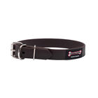 Polyvinyl Collar - Brown - 1" Width image number null