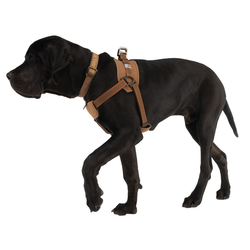 Carhartt Nylon Duck Walking Dog Harness - Light Brown image number null