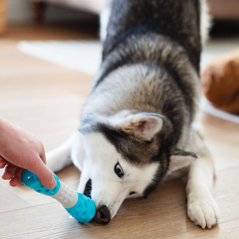 Messy Mutts, Totally Pooched Toss 'n Stuff Hourglass - Teal  image number null