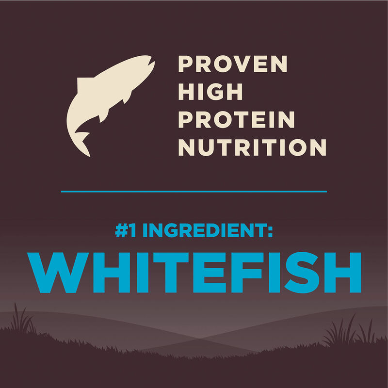 Wellness, Core, Grain Free Ocean - Dry Dog Food image number null