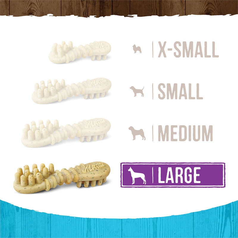 Merrick, Fresh Kisses Brush - Mint - Dog Treat image number null