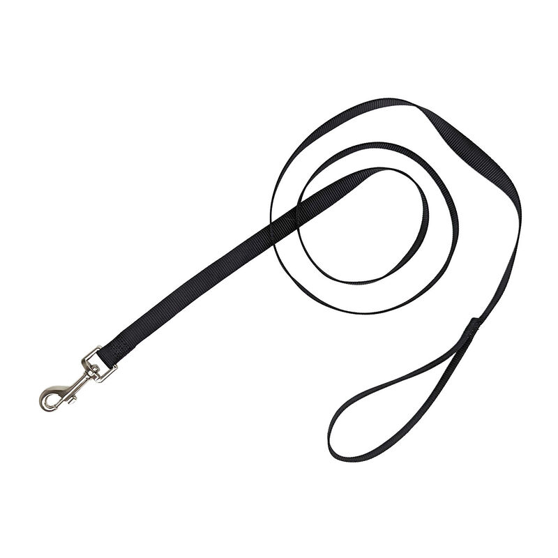Brigade, Nylon Dog Leash - Black image number null