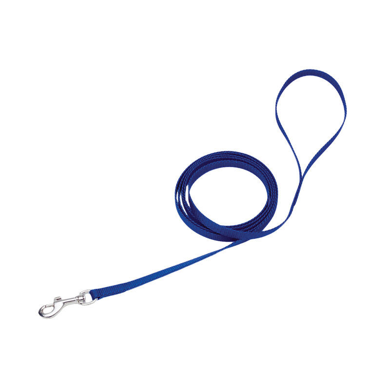 Single-Ply Dog Leash, Blue, X-Small - 3/8" x 6' image number null