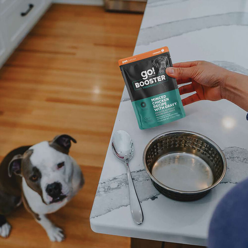 GO! SOLUTIONS,  BOOSTER Tranquility  Minced Chicken with gravy - 78 g - Wet Dog Food image number null