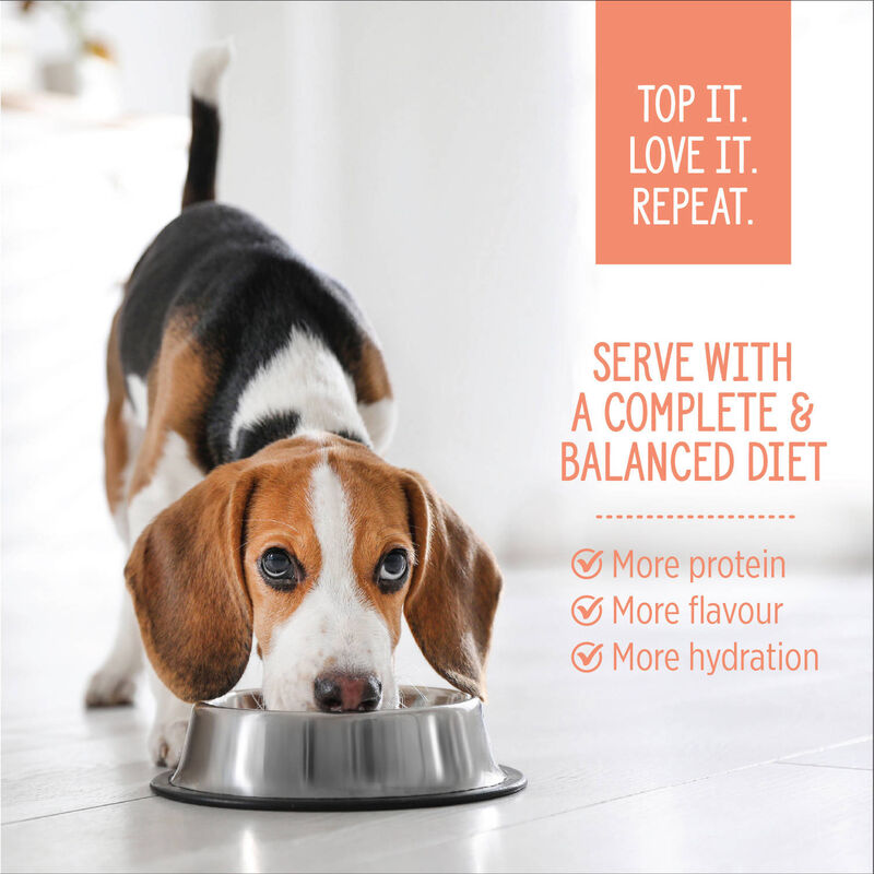 Nutrience, Homestyle Topper Salmon Red Rice Bowl &ndash; Dog Wet Food image number null