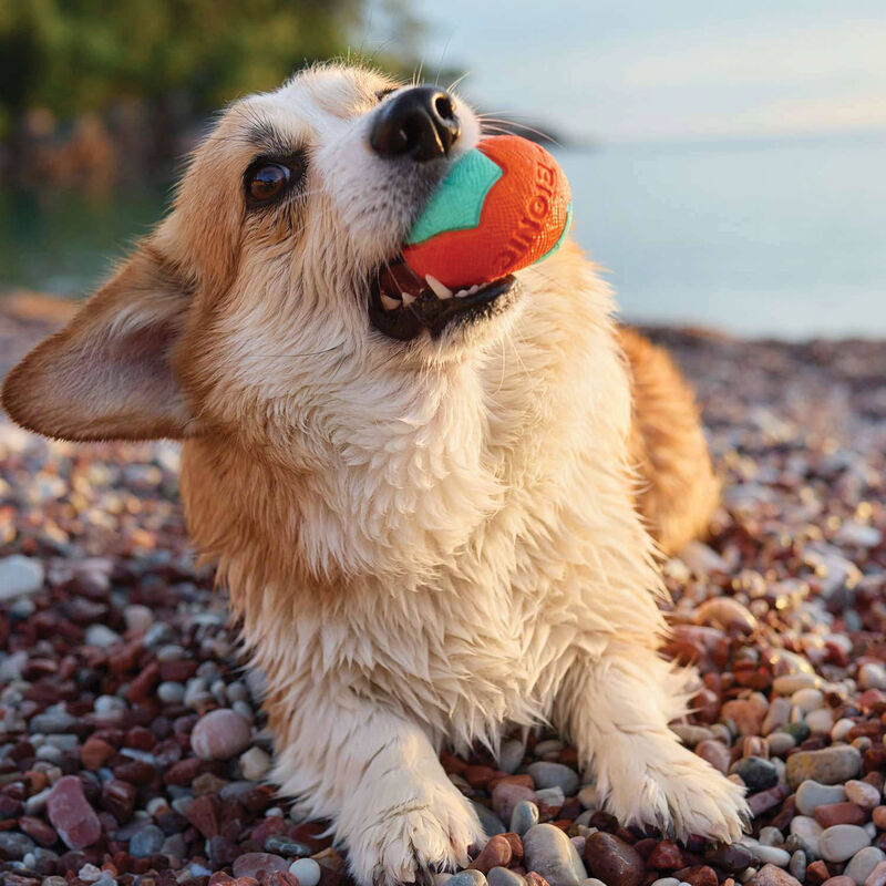 Bionic Super Squeak Ball Dog Toy  image number null