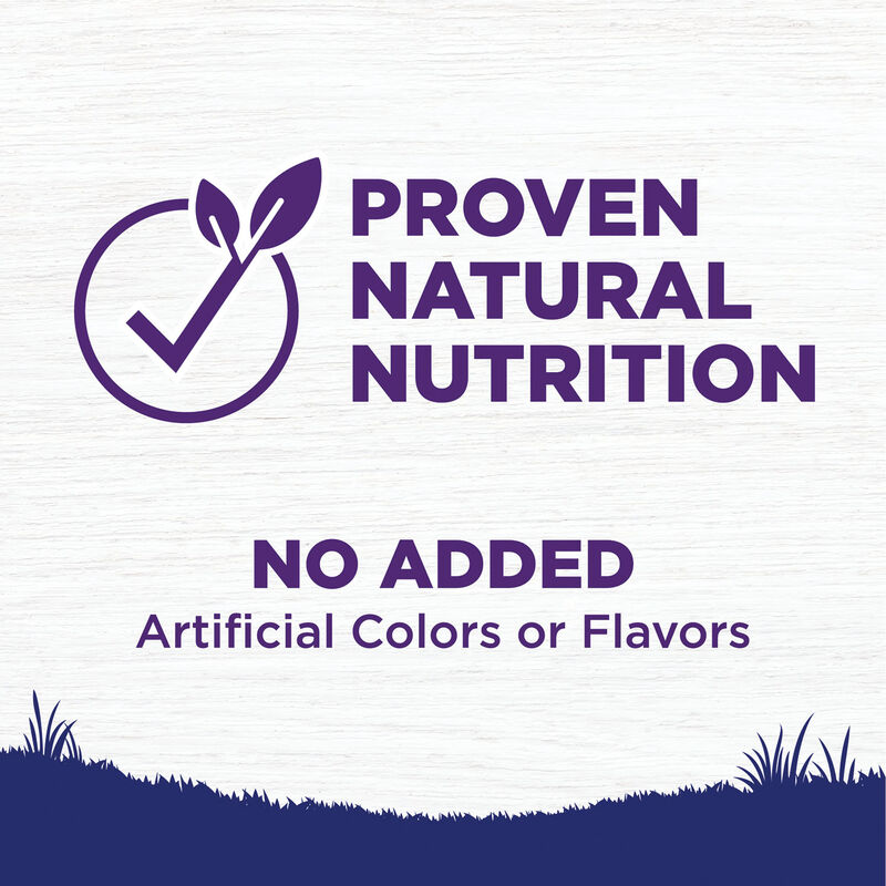 Wellness, Puppy Large Breed - Complete Health - Chicken, Salmon & Brown Rice - 13.6kg - Dry Dog Food image number null