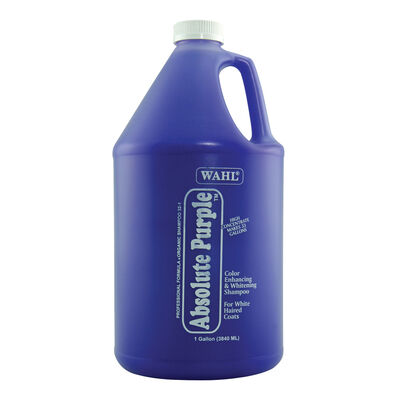 Wahl, Absolute Purple Shampoo