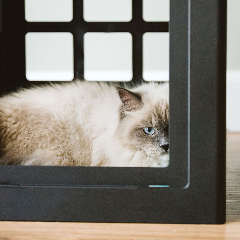 BeOneBreed, KATT KUBE Multi image number null