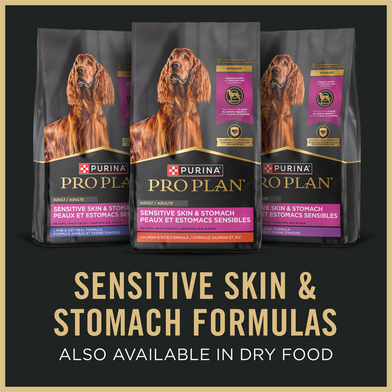 Pro Plan, Sensitive Skin & Stomach - Lamb & Oat in Gravy - Wet Dog Food image number null