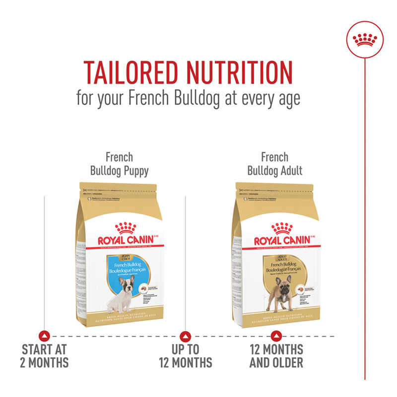 Royal Canin, Breed Health Nutrition French Bulldog Puppy 3LBS - Dry Dog Food image number null