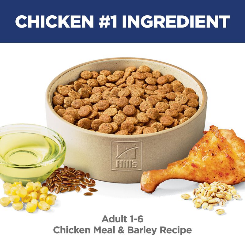 Science Diet, Adult Dog Chicken & Barley image number null