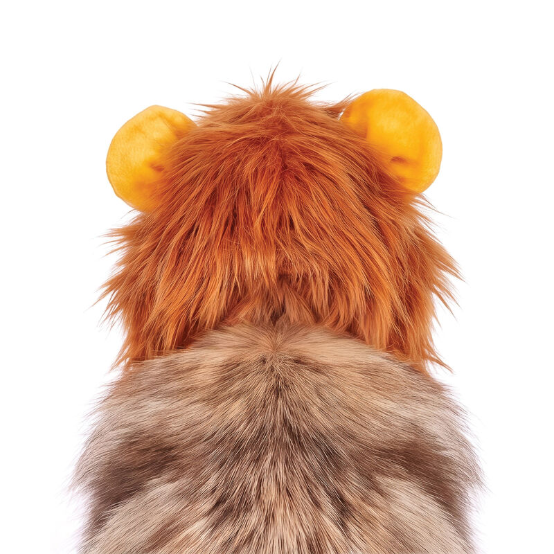 Silver Paw Lion Mane Dog Costume image number null