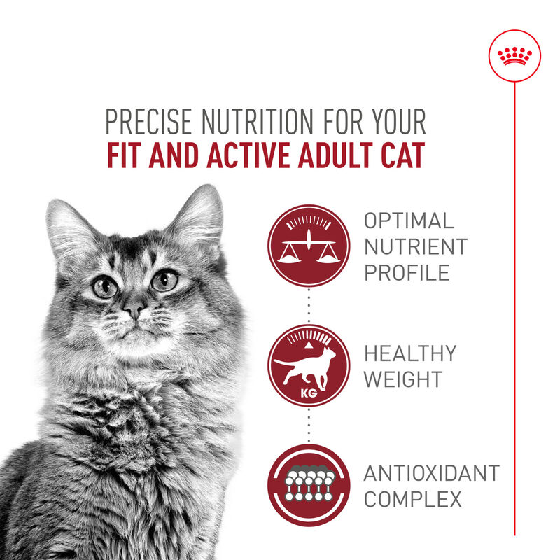 Royal Canin, Feline Health Nutrition Fit And Active Dry Adult - Dry Cat Food image number null