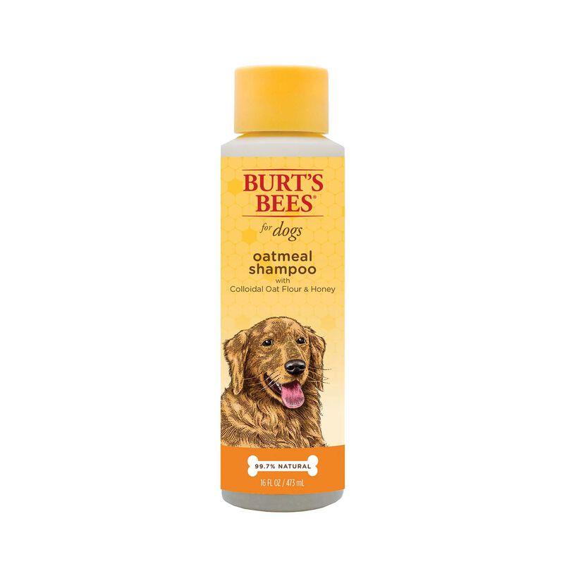 Burt's Bees, Oatmeal Dog Shampoo - 473 ml image number null
