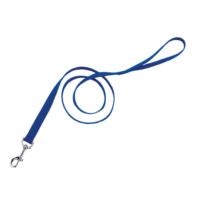 Single-Ply Dog Leash, Blue, Medium - 3/4" x 6' image number null