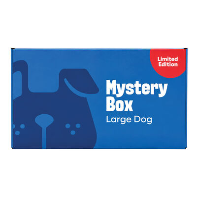 Mystery Box - Dog - Large