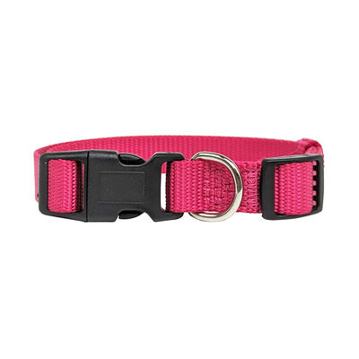 Brigade, Nylon Dog Collar - Pink
