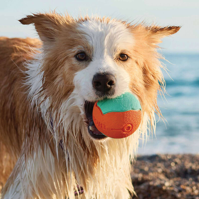 Bionic Super Squeak Ball Dog Toy  image number null
