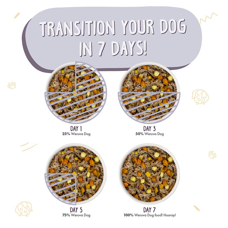 Weruva, Can, Adult - Steak Frites - Shreds - Wet Dog Food image number null