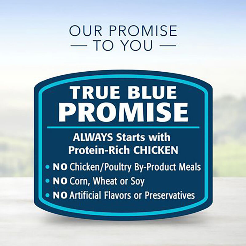 Blue Buffalo, Adult - LP - LB - Chicken - 6.8 kg - Dry Dog Food image number null