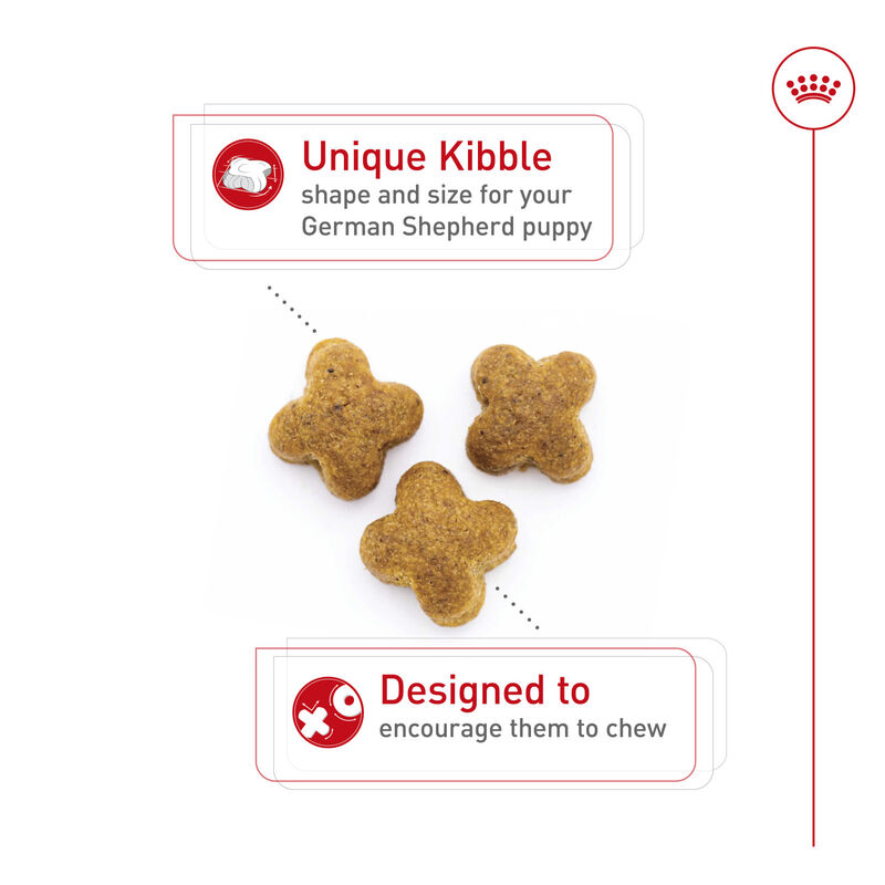 Royal Canin, Breed Health Nutrition German Shepherd Puppy - Dry Dog Food image number null