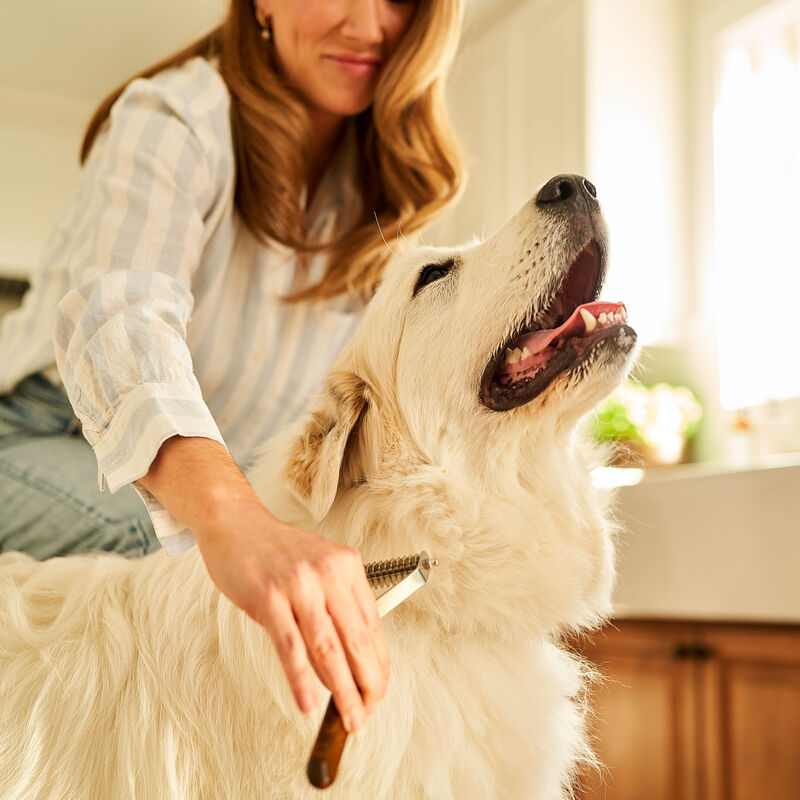 Tux, Studio Dematting Comb &ndash; Dog Grooming Tool image number null