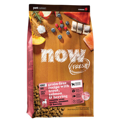 NOW FRESH, Adult GF Fish - 9.98 kg - Dry Dog Food