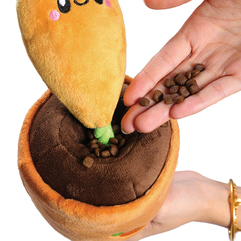Territory, Carrot Treat & Tug Toy image number null