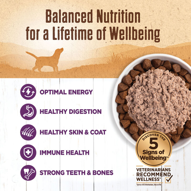 Wellness, Canned Dog Food, Mixers & Toppers, 95% Chicken - 13 oz - Wet Dog Food image number null