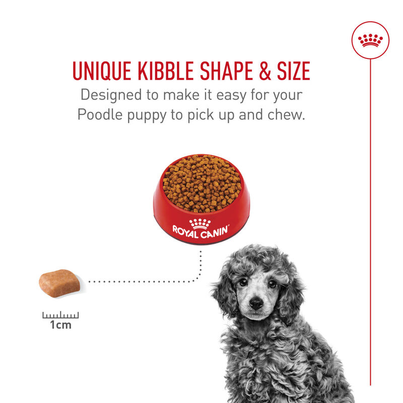 Royal Canin, Breed Health Nutrition Poodle Puppy - Dry Dog Food image number null